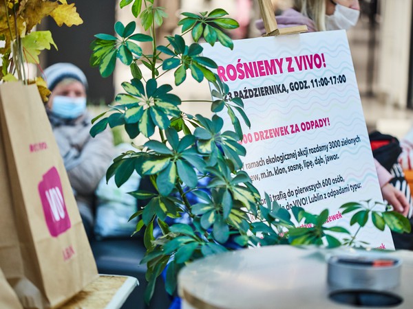 VIVO_1072_Rośniemy z VIVO.jpg