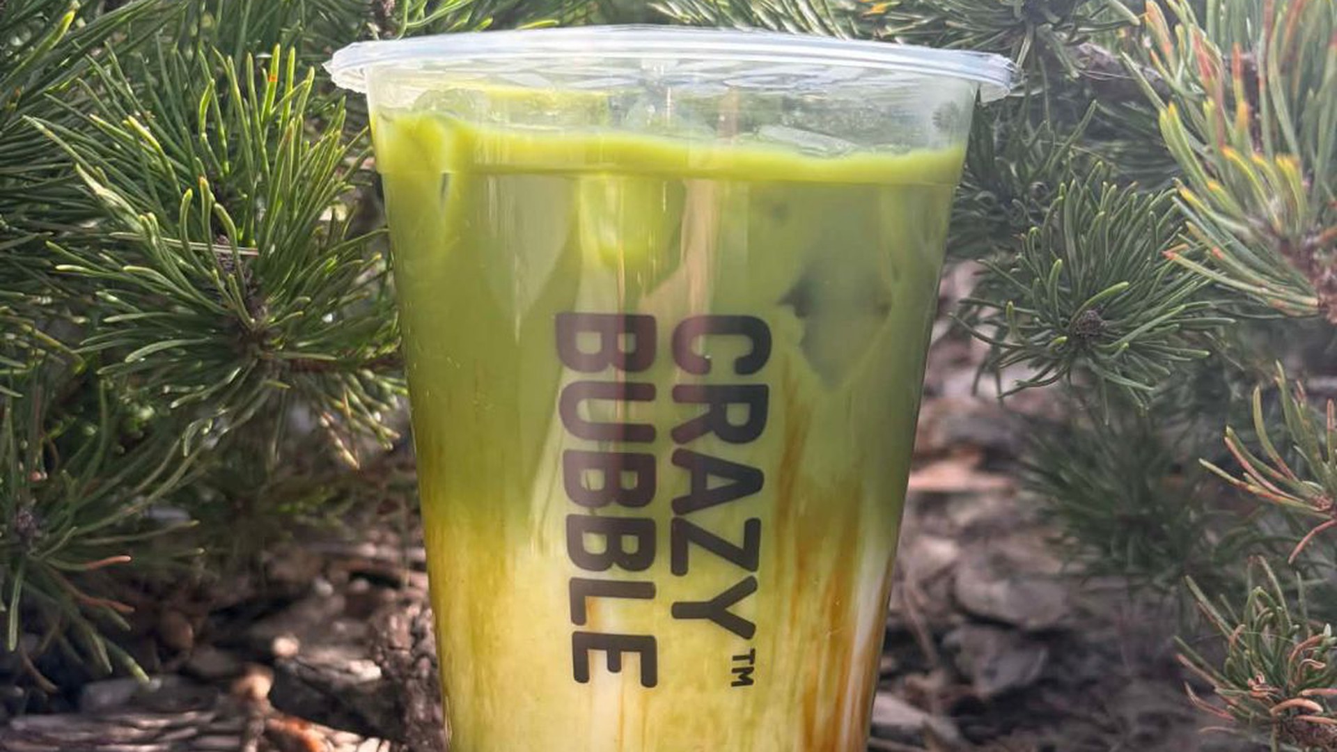 matcha instagram, facebook.jpg