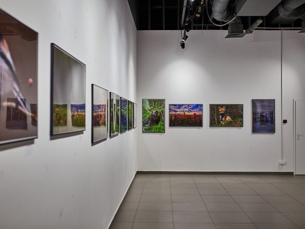 VIVO_2008_Wystawa ObrazĘw.jpg