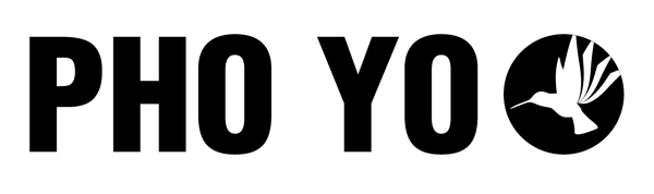 PhoYo_Logo.png
