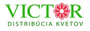 Victor_Logo.jpg