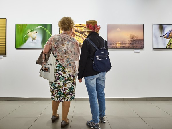 VIVO_1008_GALERIA ObrazĘw 07.05.2022.jpg