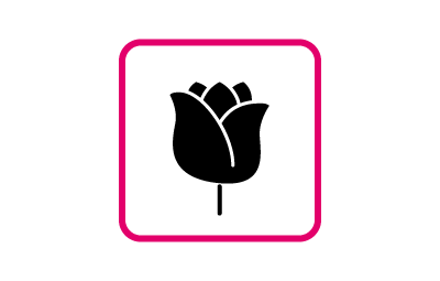 ikonka-kwiatomatu (1).png