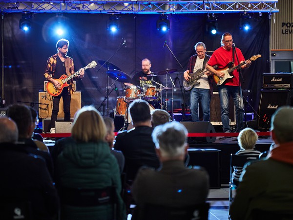 VIVO_1005_Koncert.jpg