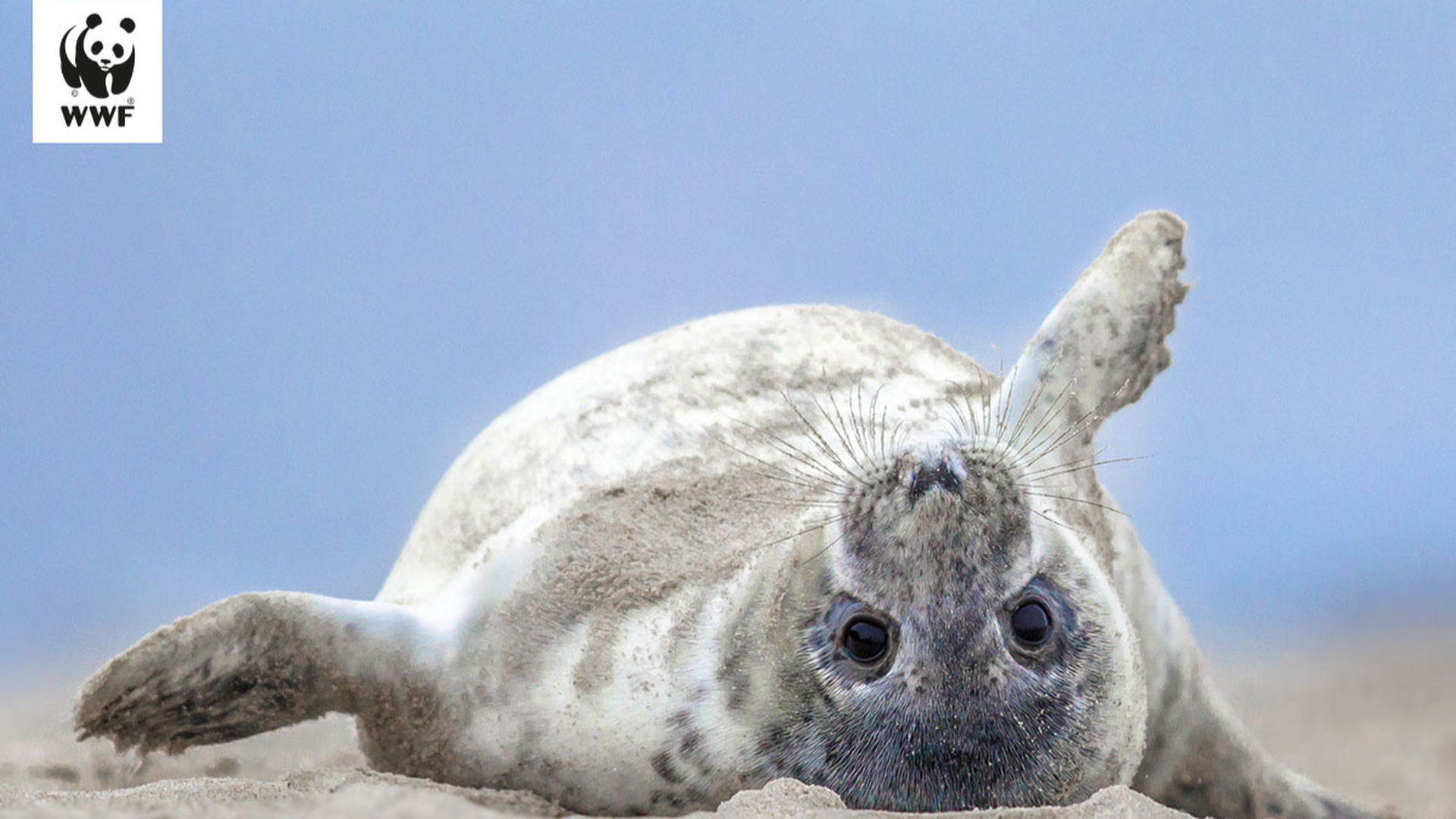 A TY ZAjrzysz do nas - 2025-09-26T100618.166.png