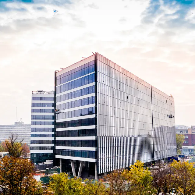 Corporate Governance