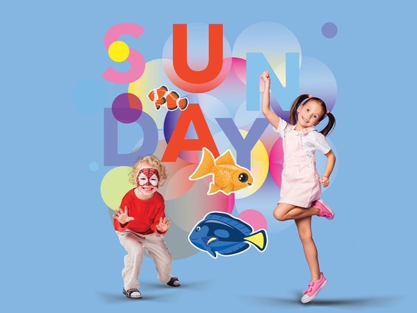 VIVO!_WEBSITE_COVER_1920x1080px (13).png