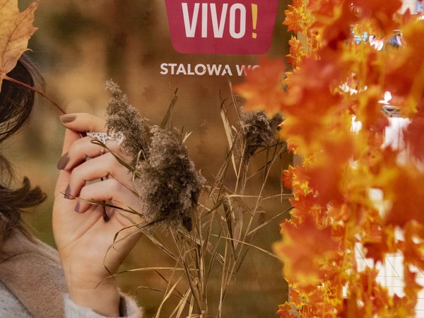 jesień z VIVO!  (10).jpg