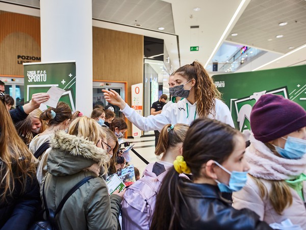 VIVO_1043_Pszczółki AZS.jpg