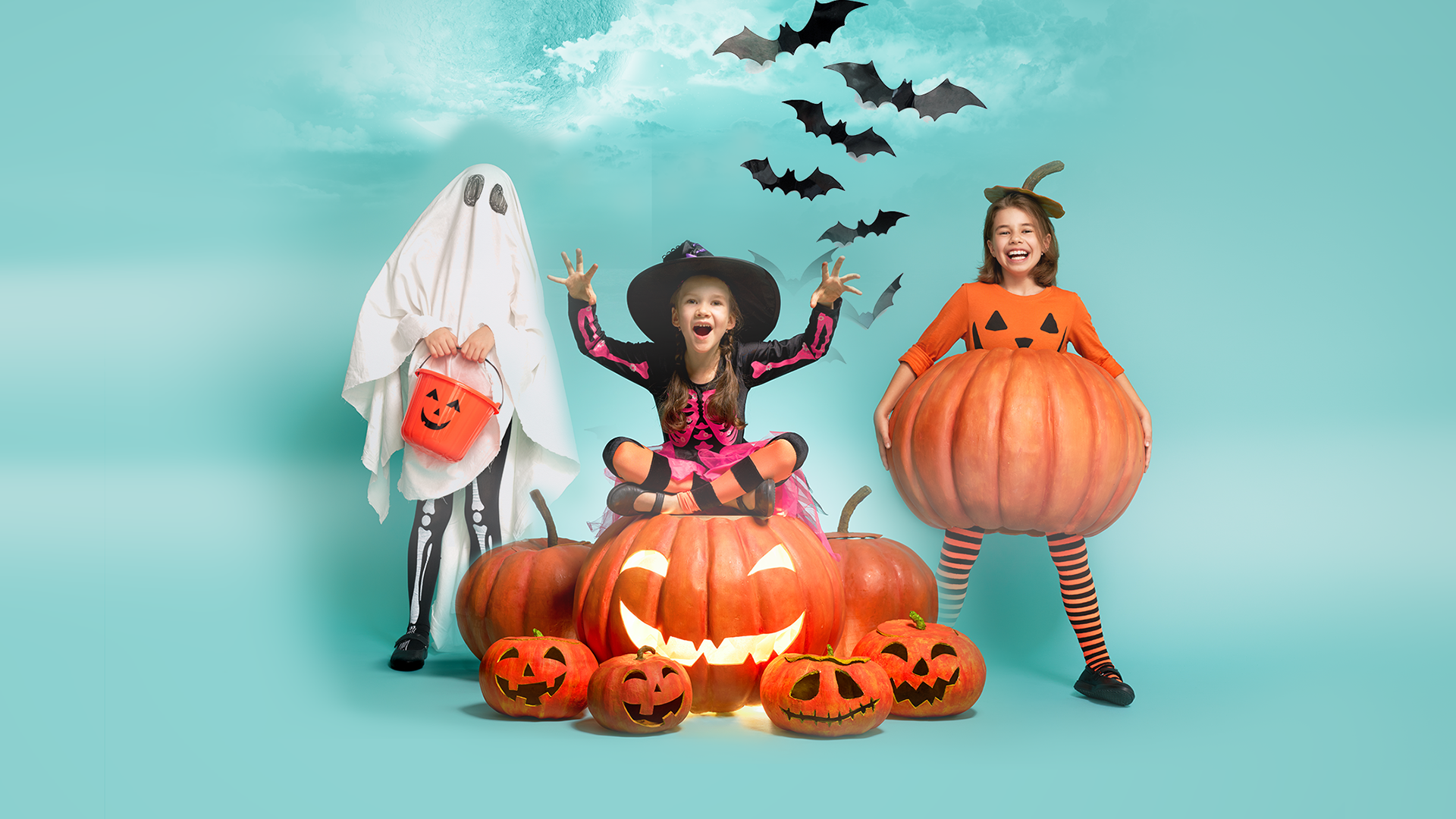VIVO!_WEBSITE_COVER_1920x1080px (31).png