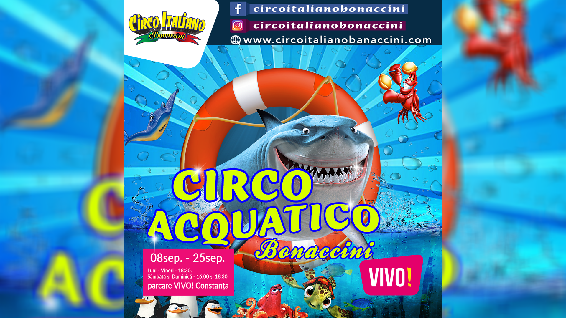 Circ_VIVO!Constanta.png
