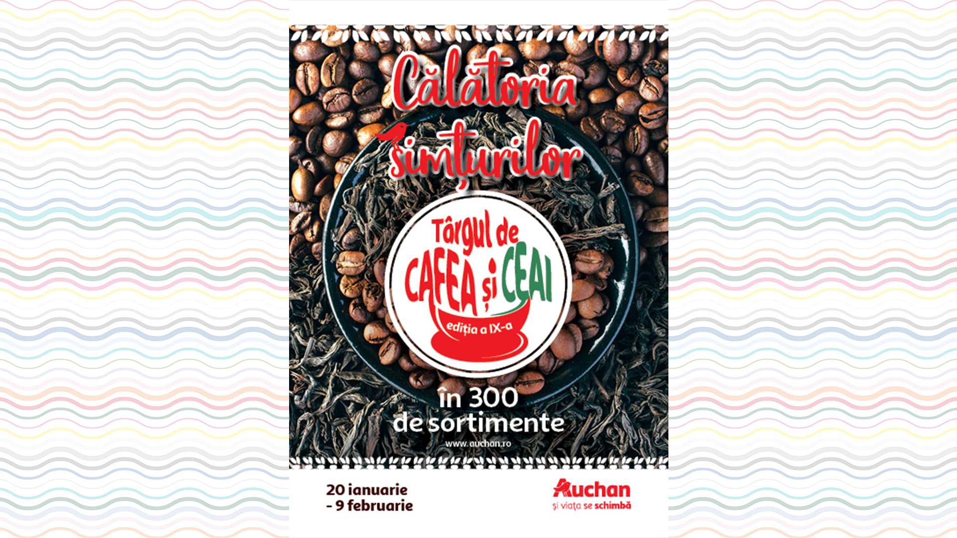 Auchan_constanta.png