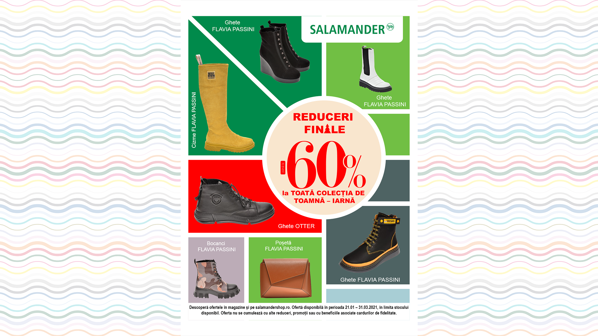 salamander_clujnapoca.png