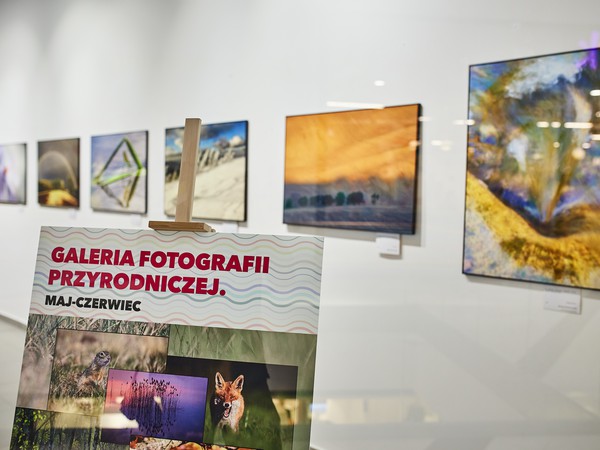 VIVO_1011_GALERIA ObrazĘw 07.05.2022.jpg