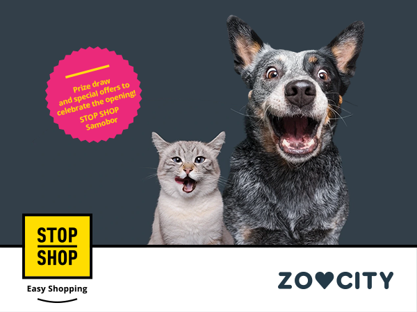 SS-WEB-Zoocity-20260908ENG.png