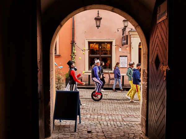 VIVO_1170_Dzień Dziecka Artyści Cyrkowi.jpg